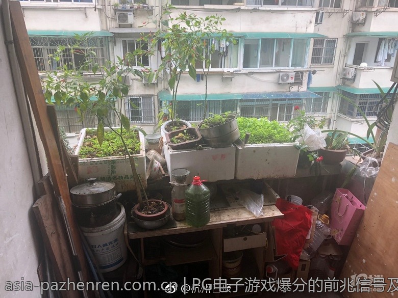 PG电子游戏爆分的前兆信号及其识别原则